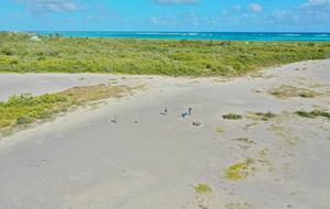 Anegada drone photo