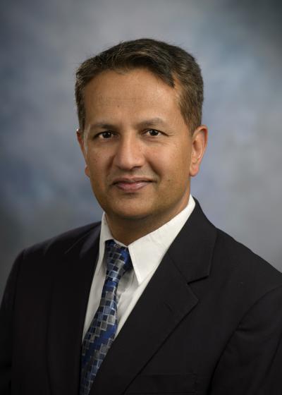 Mukesh Dhamala, Georgia State University