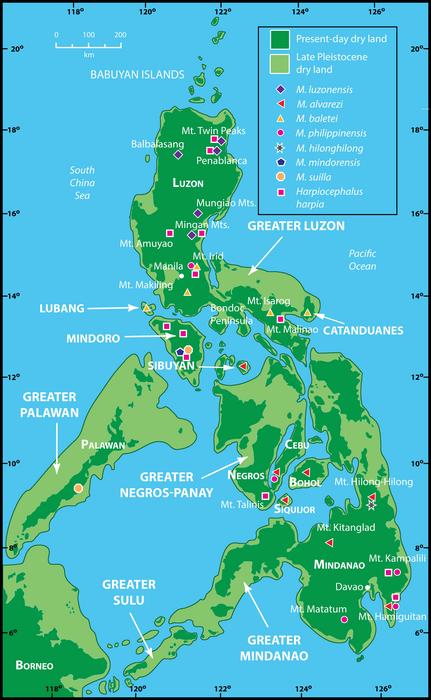 Map of the Philippines and bat collection localities
