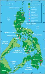 Map of the Philippines and bat collection localities