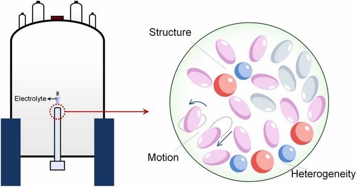 NMR maps hidden electrolyte states.