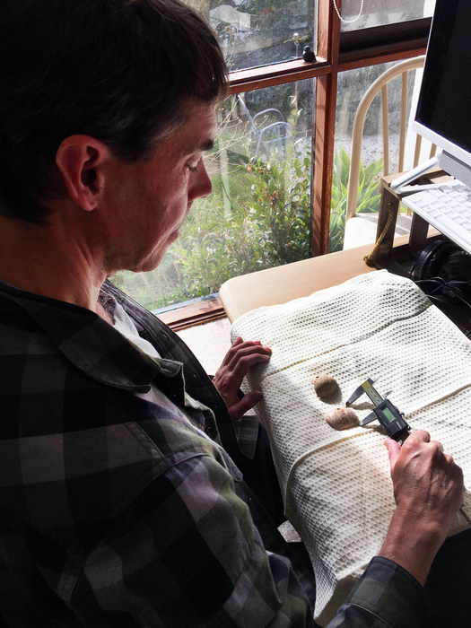 Dr. Michael Carson measures a cowrie shell