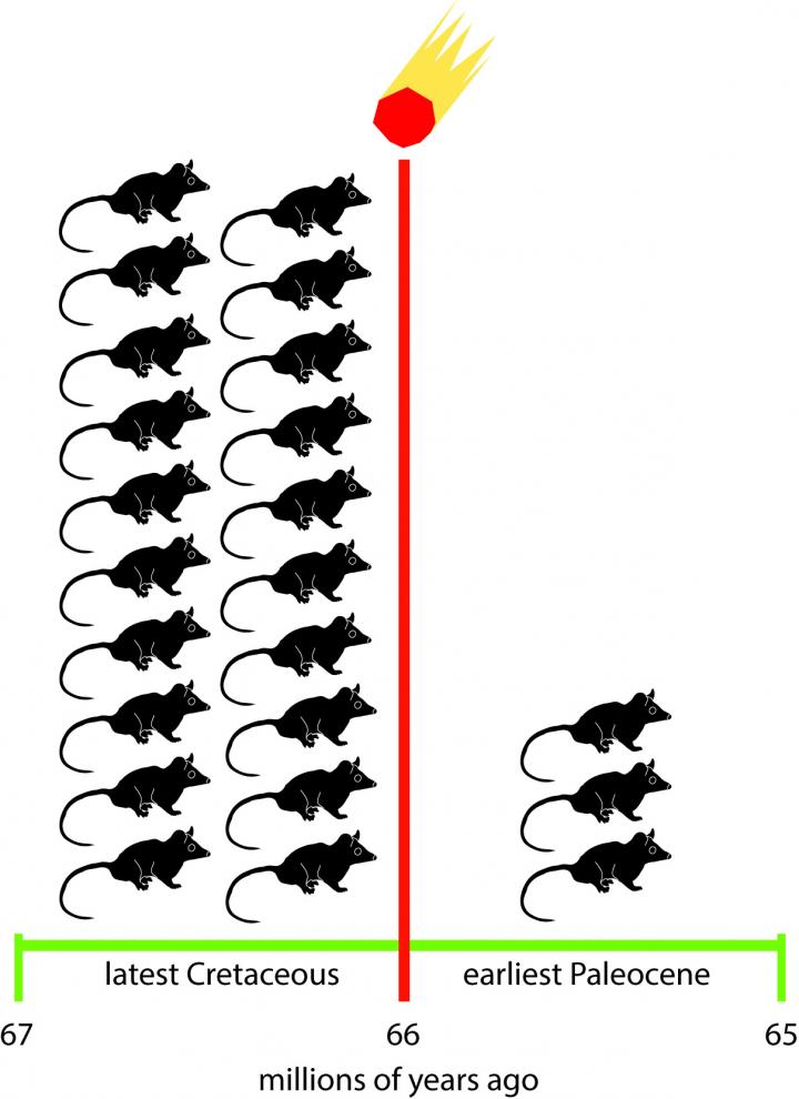 Metatherian Species Drop