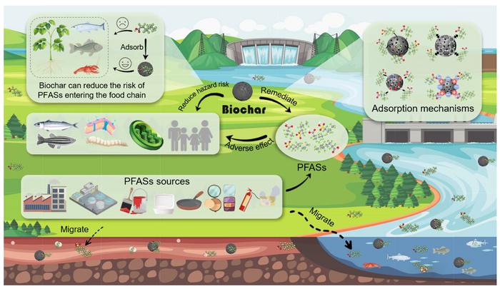 Environmental behavior of per- and polyfluoroalkyl substances (PFASs) and the potential role of biochar for its remediation: a review