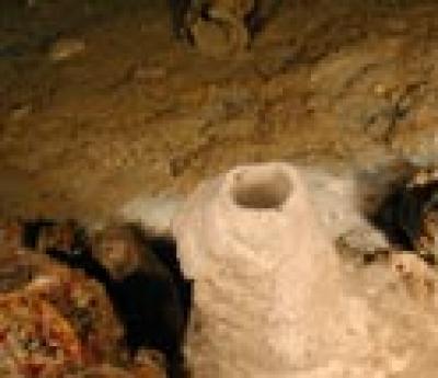 Mineral Chimney