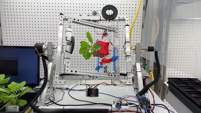 plants for drug production in space - 1