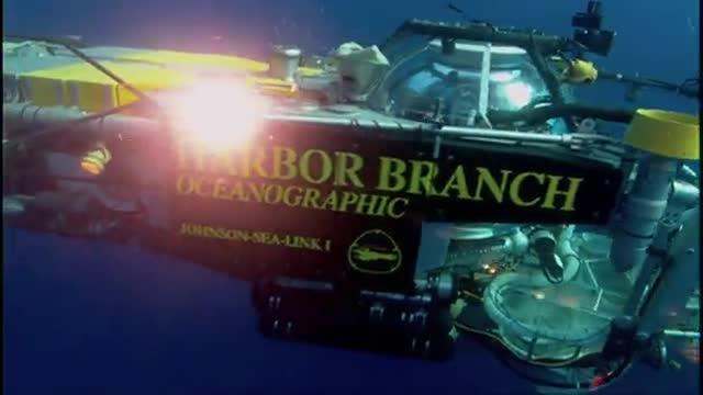 Collecting Deep-water Marine Sponges Using a Submarine