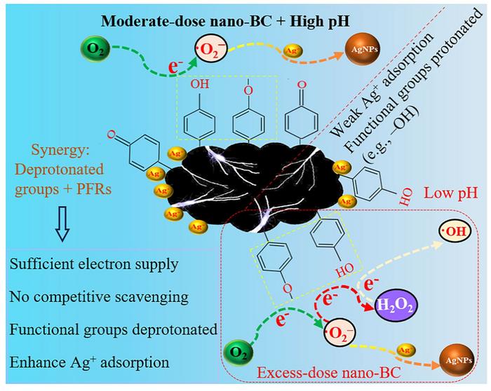 pH-regulated surface chemistry of nano-biochar for selective silver ion reduction: the pivotal role of superoxide radicals