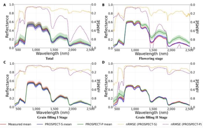 The simulation performance comparison between PROSPECT-S and PROSPECT-P across developmental stages.