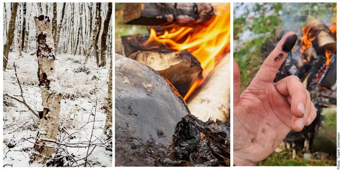 Production of birch tar