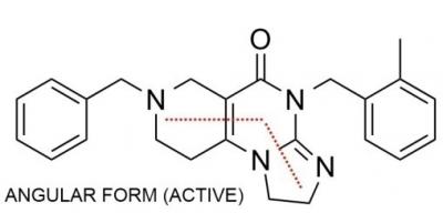 Angular Form (Active)