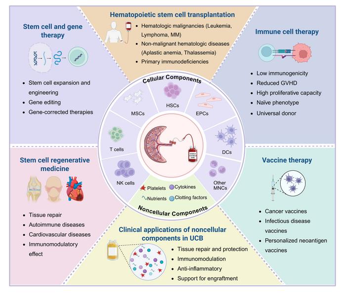 Umbilical cord blood components and established and emerging therapeutic applications