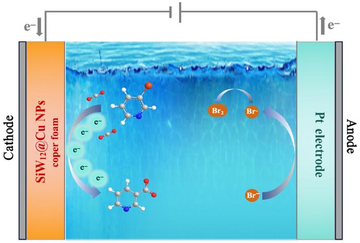 Electrocatalytic reaction of polyoxometalate on copper foam (SiW12@Cu NP on CF)