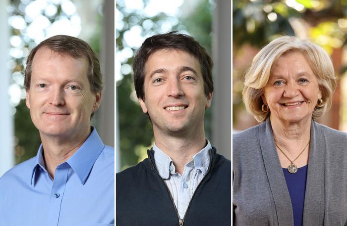 Dwyer-Elbaum-Soffa
