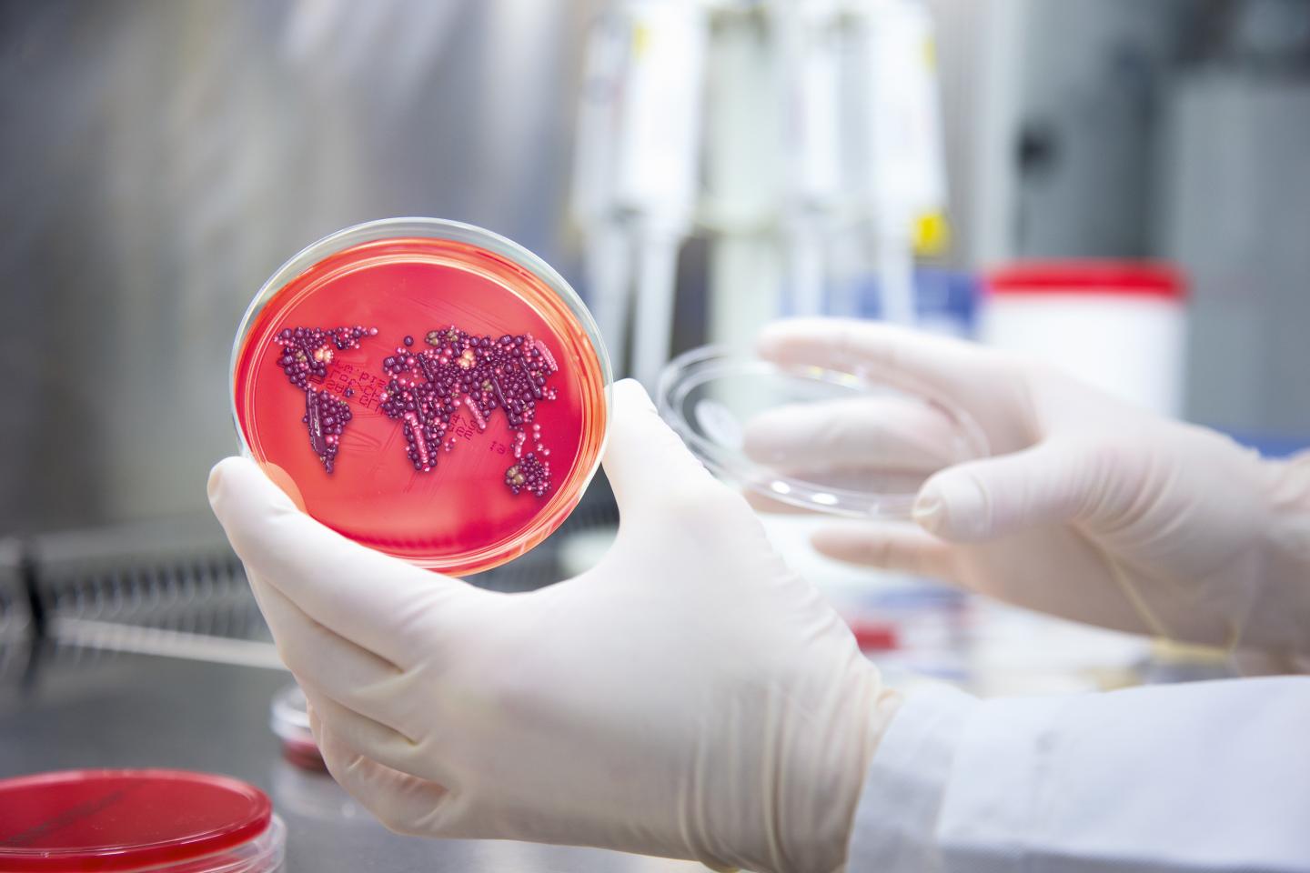 Antibiotic Resistances