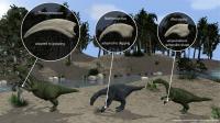 Different Claw Shapes in Therizinosaur Dinosaurs