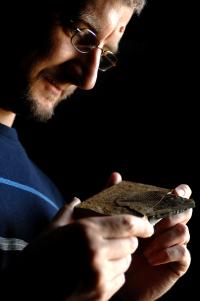 Scrutinizing Trilobite Evolution
