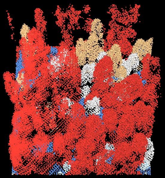 LiDAR Point Cloud