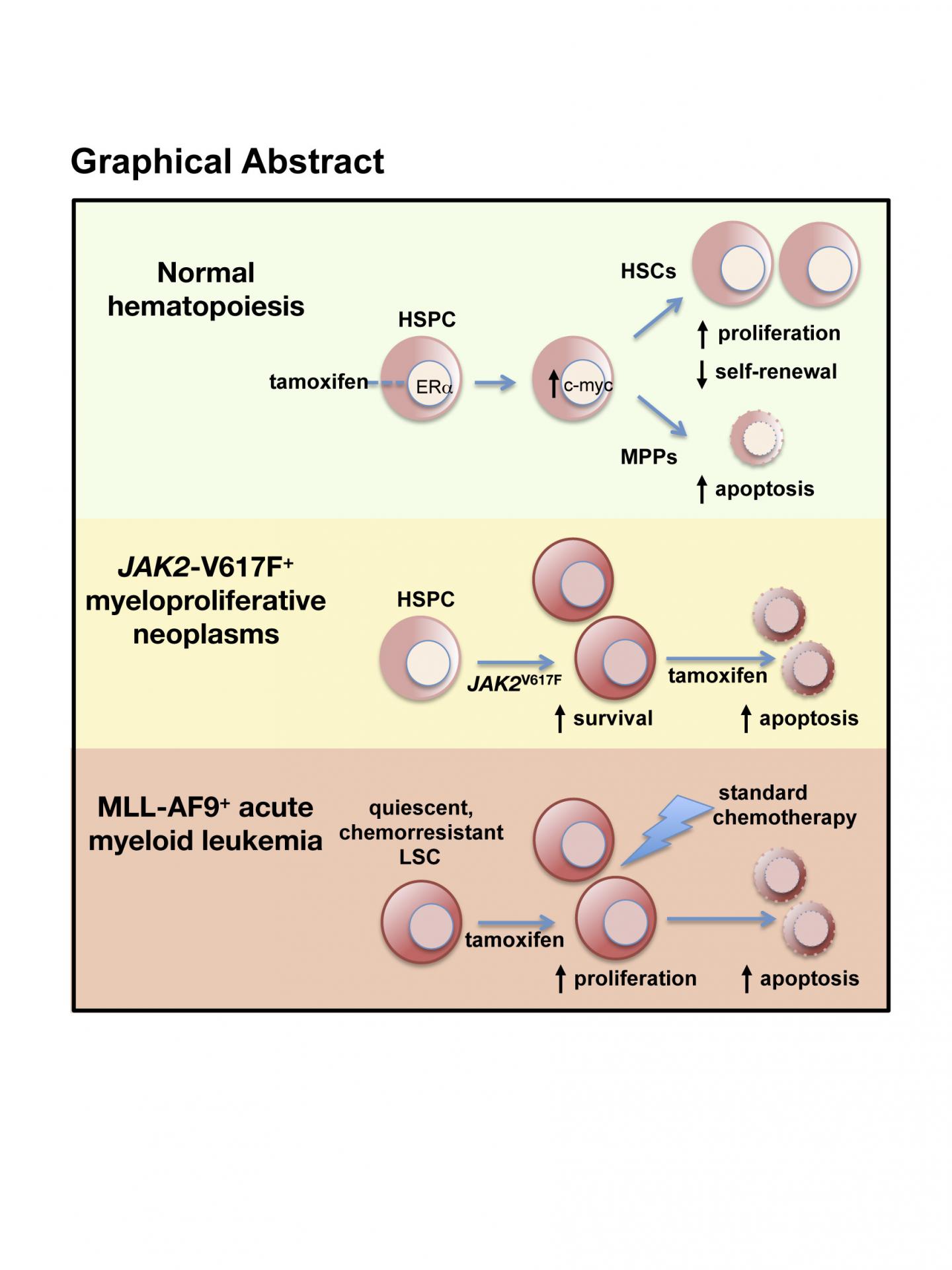 Graphical Abstract of Study