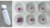 Electric Clothes Dryers: An Underestimated Source of Microfiber Pollution