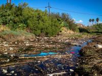 Chollas Creek