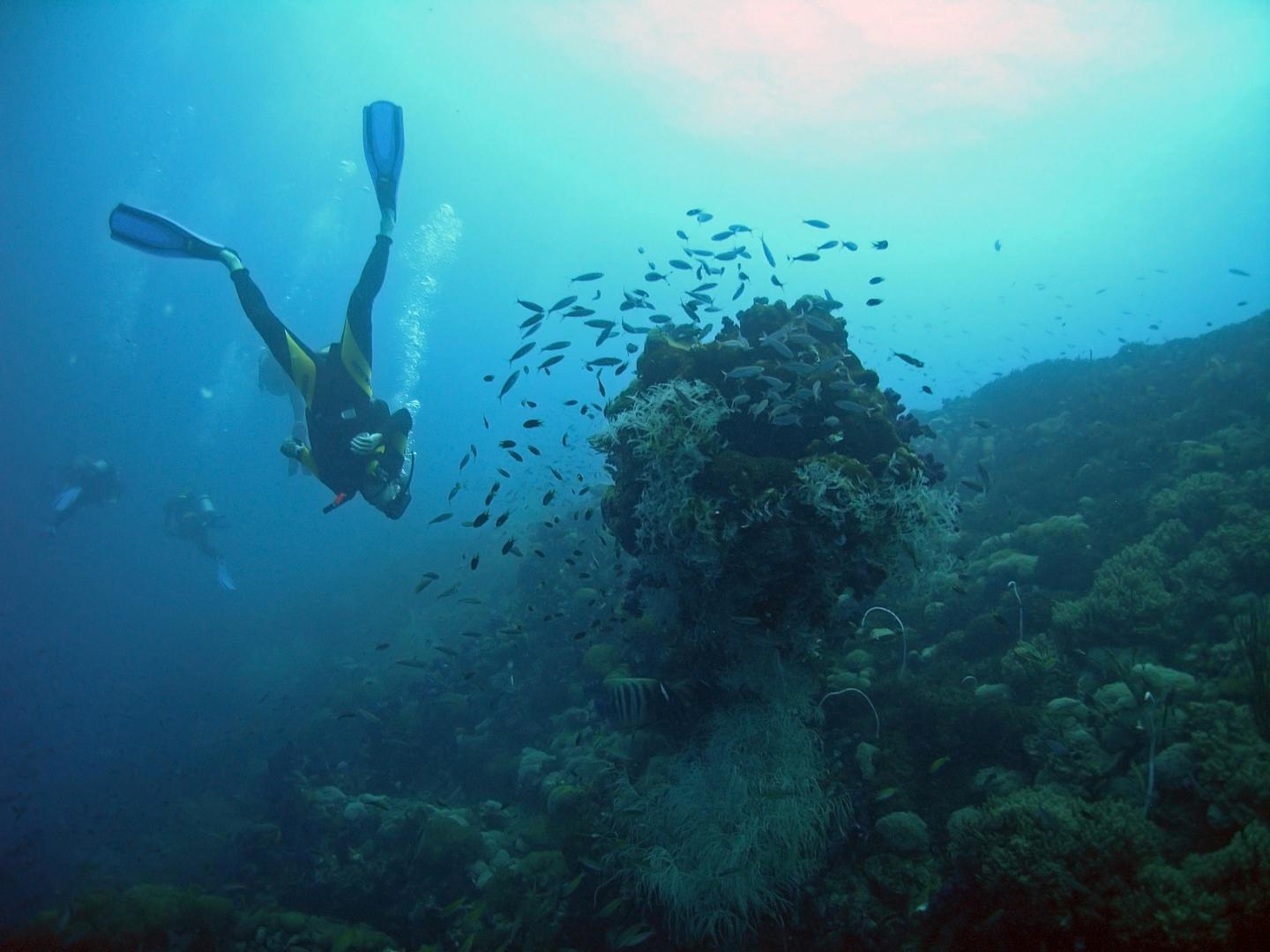 Australia's Great Barrier Reef Is One of the World's Most Popular Tourist Sites