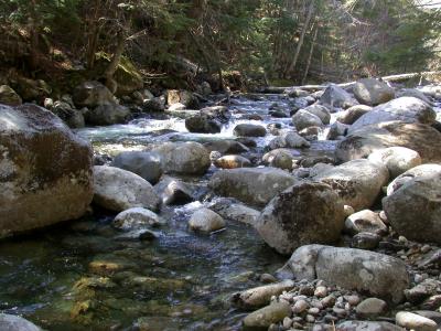 Hubbard Brook Experimental Forest