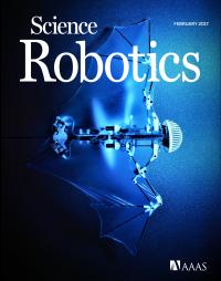 Chung Cover