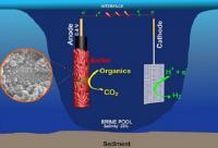 Briny Pool Bacteria Can Clean Up and Power Up (2 of 2)