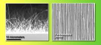 Nanowire Bad-Hair Good-Hair