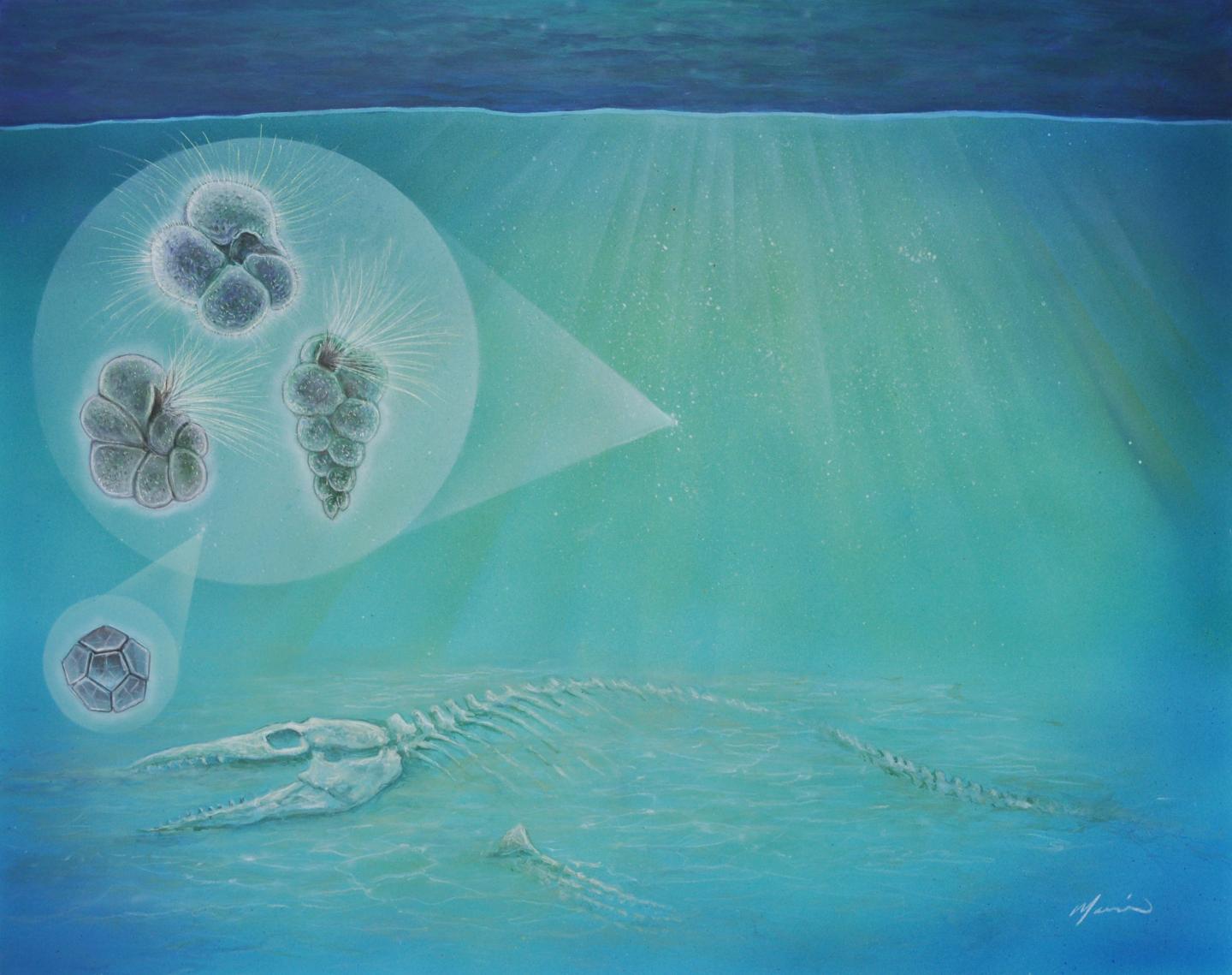 Extinction Survivor Species