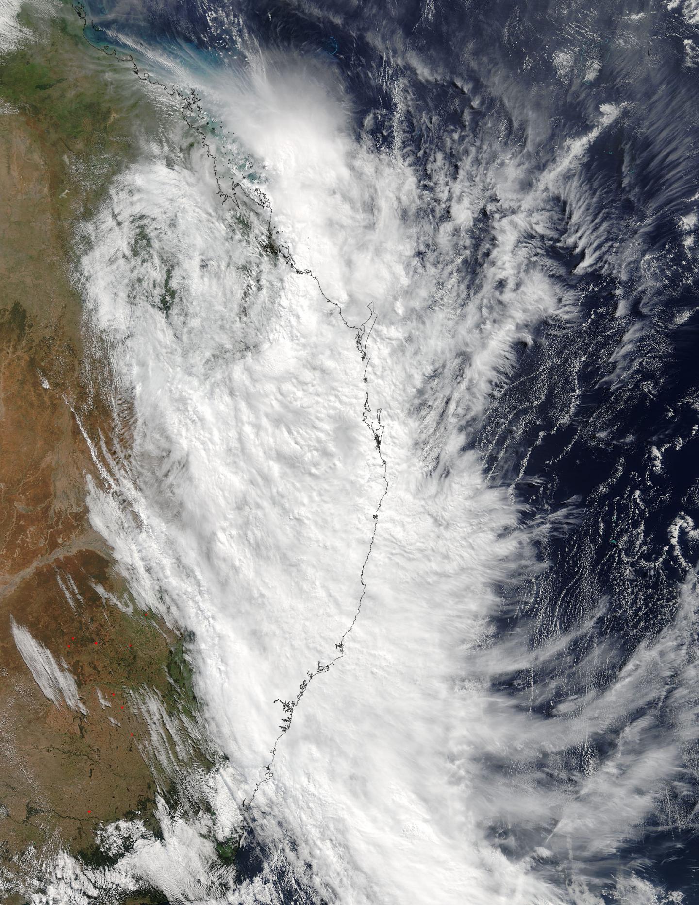 Terra Image of Debbie