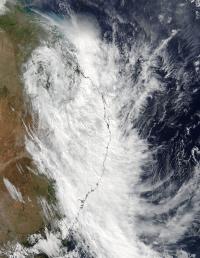Terra Image of Debbie