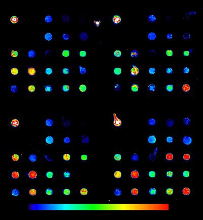 Biomarker Spectrum