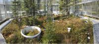 Scientists Record Rapid Carbon Loss from Warming Peatlands
