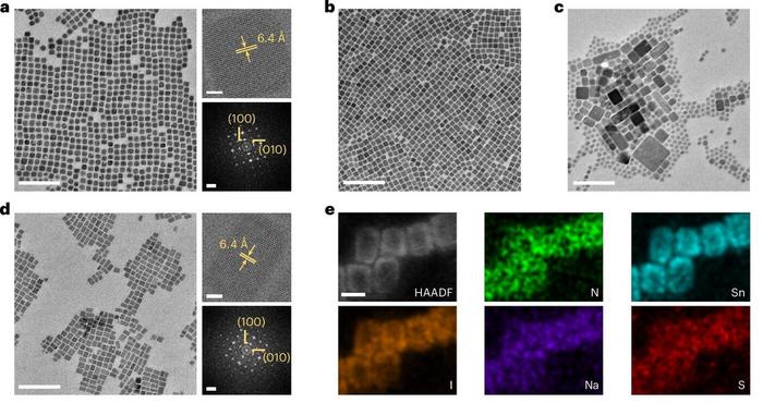 Computationally Guided Synthesis Creates High-Efficiency Tin Halide Perovskite Nanocrystals