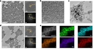 Computationally Guided Synthesis Creates High-Efficiency Tin Halide Perovskite Nanocrystals