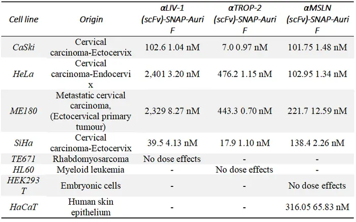 Table 5. Half maximal inhibitory concentrations with the standard deviations (nM) for ADC treatment of the cervical cancer cell lines and the control cell lines.