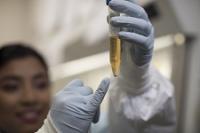 Preparing for Pitt Public Health's TZA Test