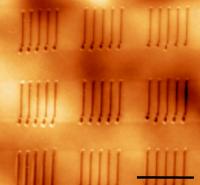 Ferroelectric nanostructures AFM