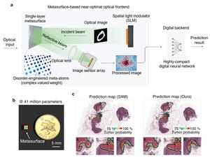 Figure | The metasurface-based optical learning machine (MOLM) for highly scalable machine vision