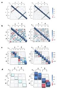 Efficient Quantum Process Tomography for Enabling Scalable Optical Quantum Computing​