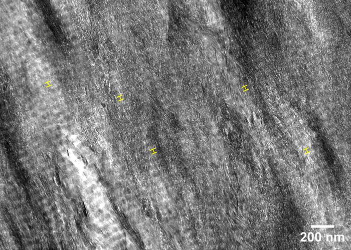Mineralized Regions