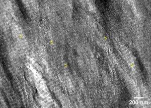 Mineralized Regions