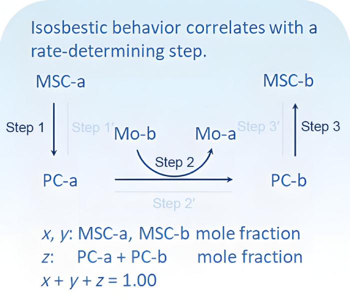 Three-step model transforming MSC-a to MSC-b using a rate determining step