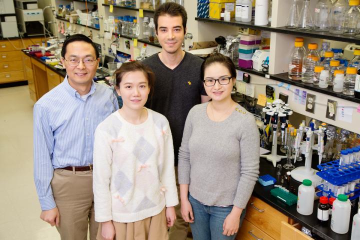 Zhao Group