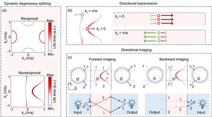 How unequal lifetimes make photonic transport directional