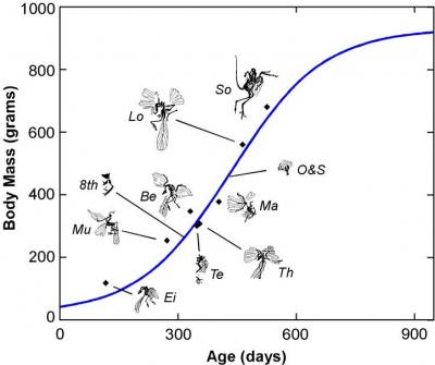 Growth Curve