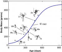 Growth Curve