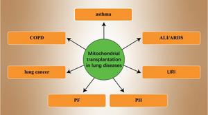 The applications of mitochondrial transplantation in lung diseases